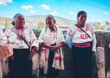 Más de 300 artesanas y artesanos del distrito de Tlaxiaco participaron en la jornada de registro.