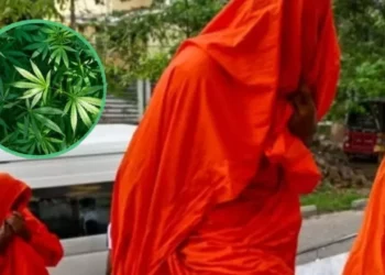 VIDEO | Arrestan a 22 monjes budistas en Sri Lanka por contrabando millonario de marihuana desde Tailandia