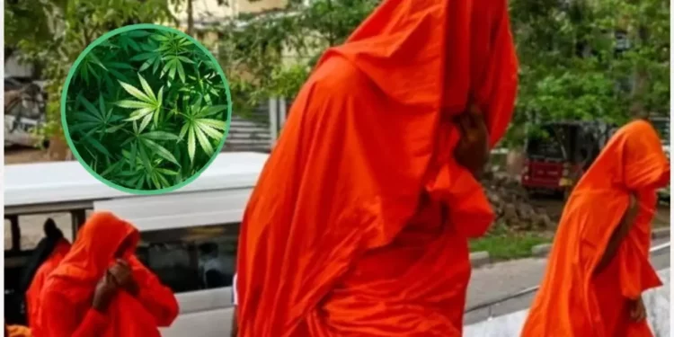 VIDEO | Arrestan a 22 monjes budistas en Sri Lanka por contrabando millonario de marihuana desde Tailandia