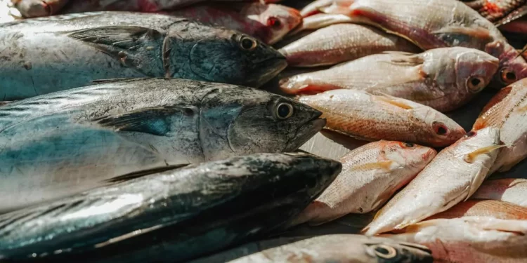 ¿Te están engañando en la pescadería? El 38% del pescado en México es falso