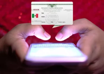 ¿Van a suspender tu número? El registro con CURP en 2026 no tendrá prórroga