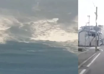 Sismo de gran magnitud sacude Japón y activa alerta de tsunami en la costa norte