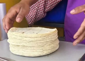 ¿Sube la tortilla a 30 pesos? La Profeco desmiente alzas y revela dónde es más barato comprarla