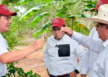 Foto: Senasica // Una trampa para contener la expansión del gusano barrenador en Oaxaca.