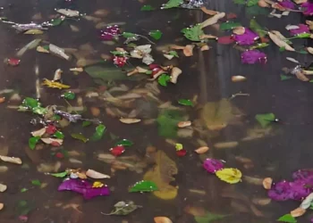 Soapa, tres meses sin resolver estancamiento de aguas negras