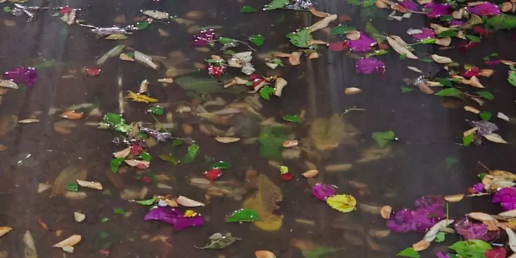 Soapa, tres meses sin resolver estancamiento de aguas negras
