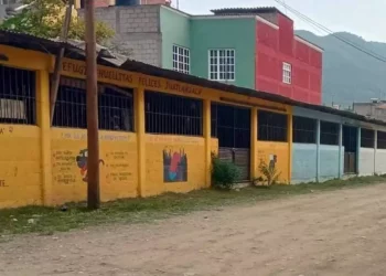 Indignación en Juxtlahuaca: Buscan desalojar albergue de perritos, terminarían abandonados en las calles
