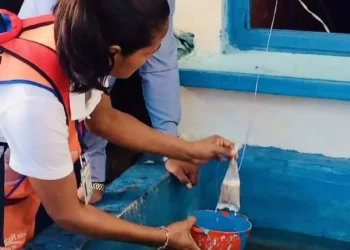 Oaxaca abandona el abate tras alertas sanitarias y apuesta por Vectobac contra el dengue