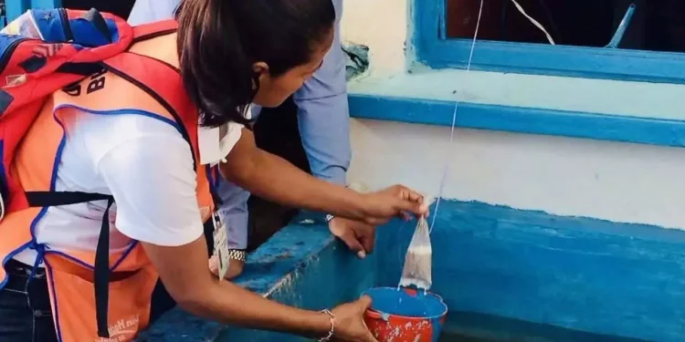 Oaxaca abandona el abate tras alertas sanitarias y apuesta por Vectobac contra el dengue