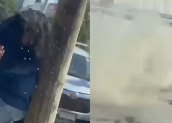 VIDEO | Mujer grave tras ataque de abejas en Culiacán; hallan colmena irregular en zona habitada