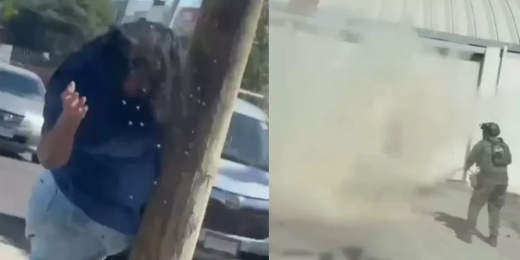 VIDEO | Mujer grave tras ataque de abejas en Culiacán; hallan colmena irregular en zona habitada