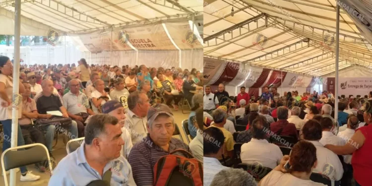 VIDEO | Entre el intenso calor y la espera: Adultos mayores padecen caos para recibir tarjetas del Bienestar
