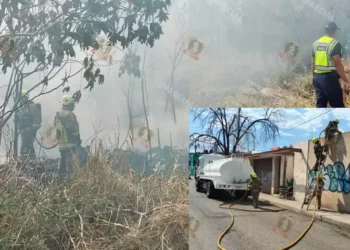 VIDEO | Incendio en Oaxaca: llantas y pastizales consumidos por voraz fuego en inmueble de calle Colón