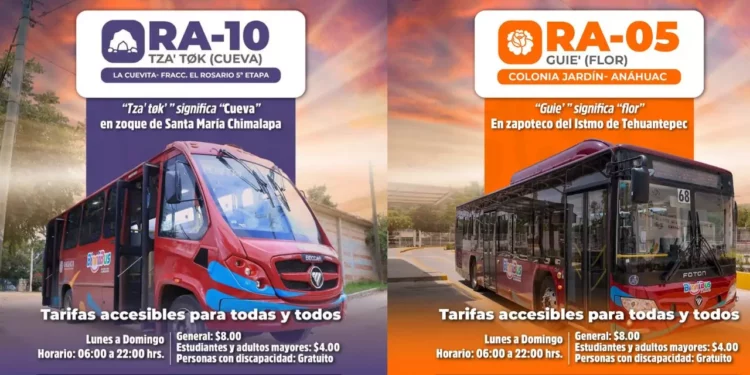 Dos nuevas rutas del BinniBus amplían red de movilidad en Oaxaca