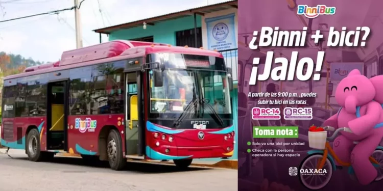 ¿Bicis en camiones del BinniBus? Propuesta desata críticas y burlas en Oaxaca