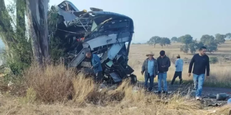 ¡Tragedia en Querétaro! Camión se estrella contra árbol y deja al menos 9 muertos y 27 heridos