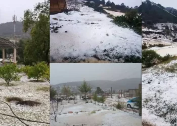 Granizada sorprende a la Mixteca: Paisaje invernal irrumpe en plena primavera