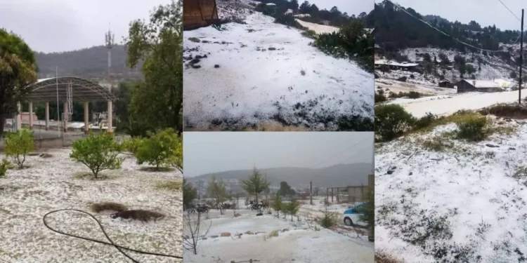 Granizada sorprende a la Mixteca: Paisaje invernal irrumpe en plena primavera