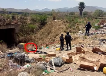 Cadáver de hombre maniatado y baleado es abandonado bajo puente en la 175