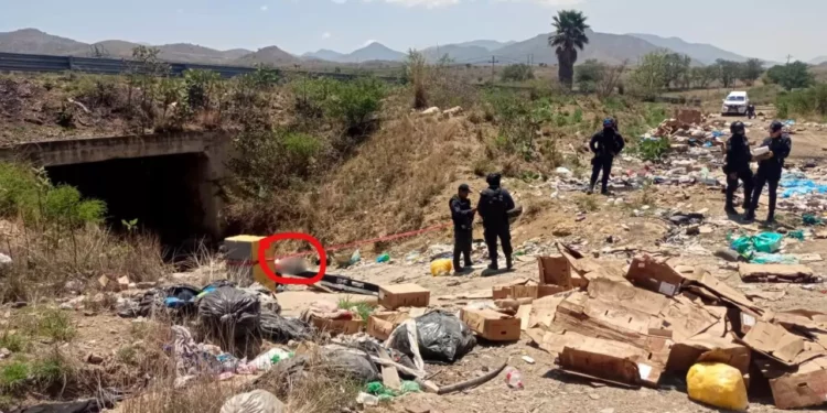 Cadáver de hombre maniatado y baleado es abandonado bajo puente en la 175