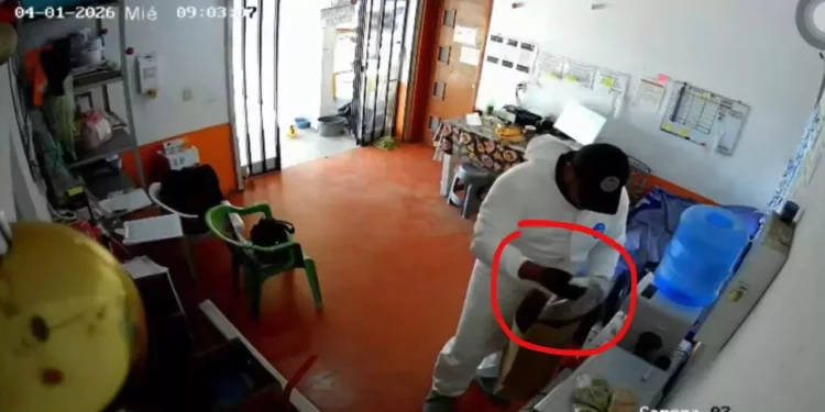 VIDEO | Peritos saquean en plena diligencia y “les cae la voladora” tras ser exhibidos en video