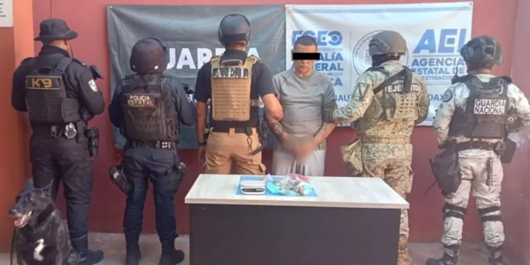 Cateo en Cuicatlán deja un detenido y droga asegurada en inmueble particular