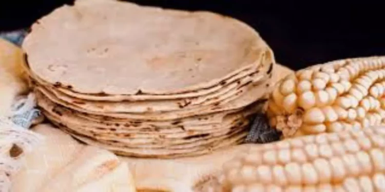 ¿Por qué la tortilla de maíz es buena para la salud? IMSS y Profeco revelan sus beneficios