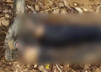 Agentes Estatales de Investigación procesaron la escena y buscaron indicios que ayuden a esclarecer el homicidio del hombre de 53 años.