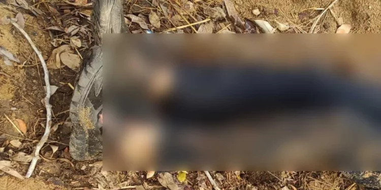 Agentes Estatales de Investigación procesaron la escena y buscaron indicios que ayuden a esclarecer el homicidio del hombre de 53 años.