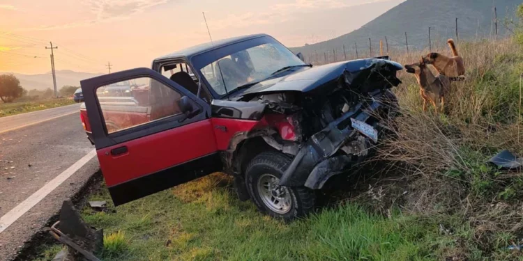 Así quedó la parte frontal de la camioneta Ford Pick Up tras estrellarse contra el tractor.