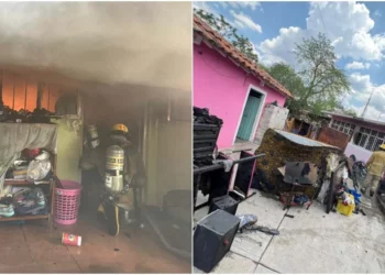 El fuego se propagó en cuestión de minutos, reduciendo a cenizas todo lo que encontró a su paso.