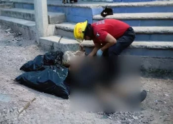 Vecinos hallaron el cadáver con el cráneo destrozado a mitad de la calle; agentes de la Unidad de Alto Impacto capturaron al probable responsable