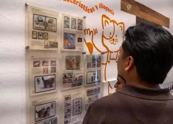 Fotos: Facebook Central Q Noticias // Visitantes de todas las edades disfrutan de una exposición que logra conectar el rigor histórico del MUFI con la ternura cotidiana, la cual resalta no solo la estética canina y felina, sino el papel social de las mascotas como compañeros de vida.
