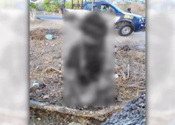 El cadáver de un motociclista fue localizado a orillas de la carretera estatal