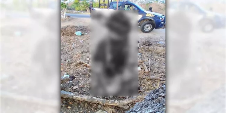 El cadáver de un motociclista fue localizado a orillas de la carretera estatal