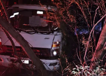 La Policía Vial Estatal aseguró el camión Internacional en Cuicatlán.