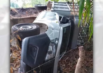 La unidad ganadera terminó volcada a un costado de la carretera federal en Tututepec.