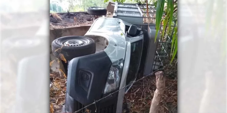 La unidad ganadera terminó volcada a un costado de la carretera federal en Tututepec.