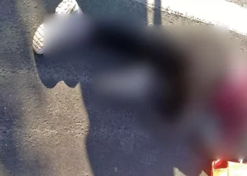 Paramédicos estabilizaron a la mujer de 46 años antes de su traslado al hospital.