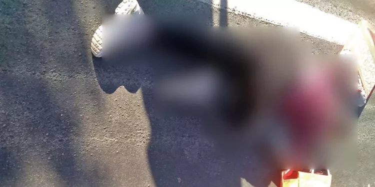 Paramédicos estabilizaron a la mujer de 46 años antes de su traslado al hospital.