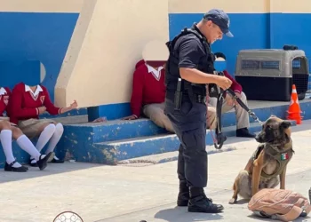 Agentes municipales y binomios K-9 blindan las aulas en Huajuapan para concientizar a los jóvenes sobre las adicciones.