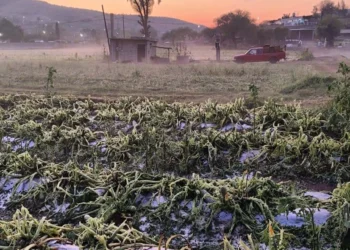 Foto: redes sociales // Productores y habitantes esperan que los apoyos anunciados permitan recuperar parte de las pérdidas y reactivar paulatinamente la actividad agrícola.