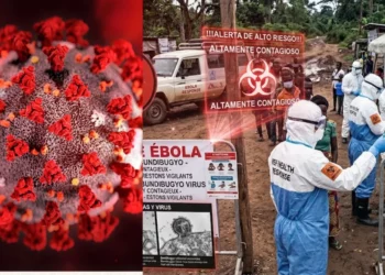 Alerta mundial: OMS declara emergencia internacional por mortífero brote de Ébola en África