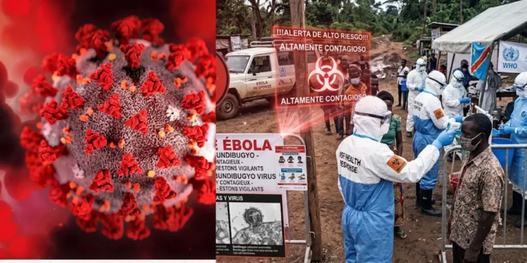 Alerta mundial: OMS declara emergencia internacional por mortífero brote de Ébola en África