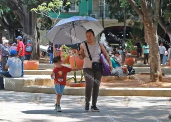Foto: Adrián Gaytán // Altas temperaturas, antídoto al virus de la influenza.