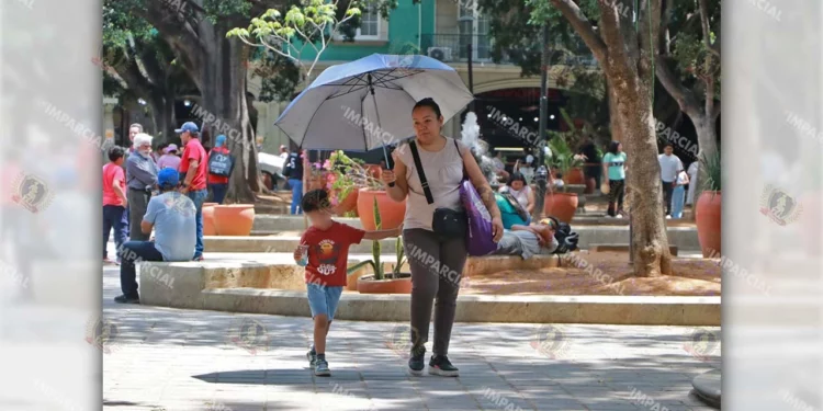 Foto: Adrián Gaytán // Altas temperaturas, antídoto al virus de la influenza.