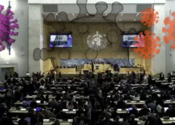 Ébola, hantavirus y una histórica crisis: Lo que se juega el mundo en la Asamblea de la OMS 2026