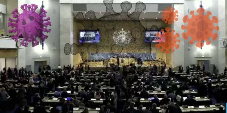 Ébola, hantavirus y una histórica crisis: Lo que se juega el mundo en la Asamblea de la OMS 2026