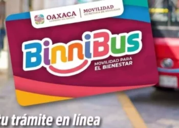 Arranca tarjeta Binnibus: Entre la promesa de agilidad y las críticas por el registro