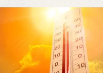 Ola de calor en México: Secretaría de Salud confirma 7 muertes por temperaturas extremas